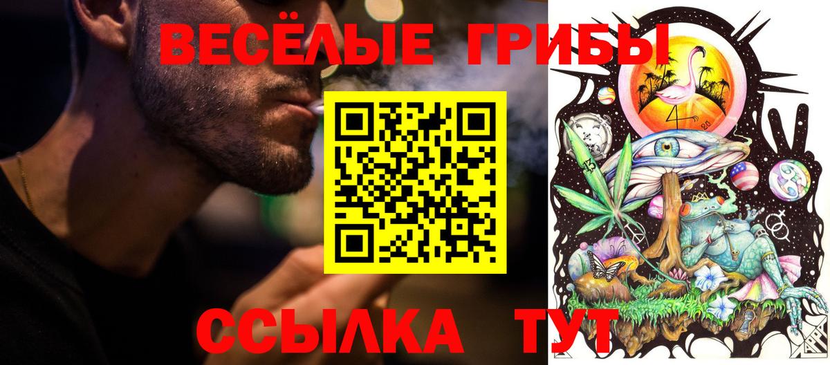 Донской  как найти закладки  Вход с VPN  Галлюциногенные грибы мицелий 